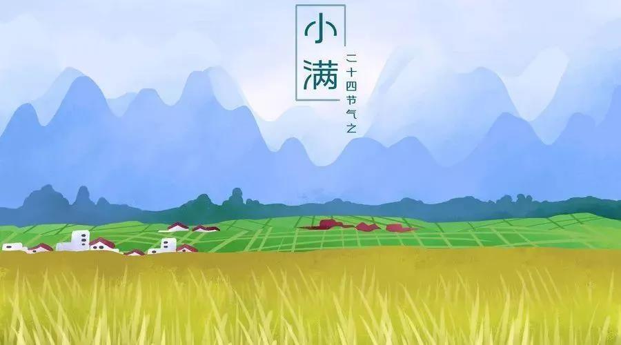 小滿(mǎn).jpg